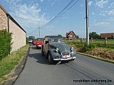 Zandlemig Vlaanderen